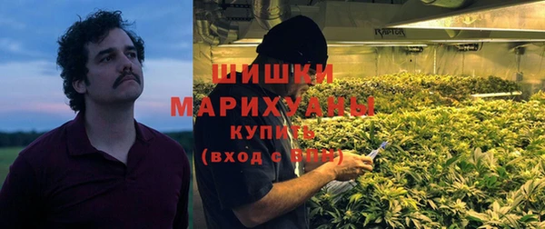 дмт Алзамай