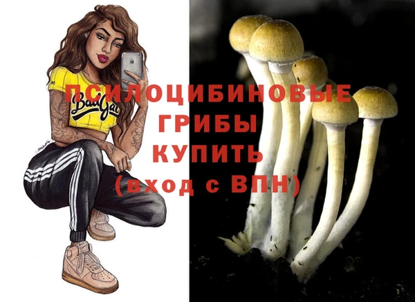 ГАЛЛЮЦИНОГЕННЫЕ ГРИБЫ Алексеевка