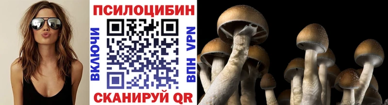 купить наркотики сайты  Новая Ладога  Псилоцибиновые грибы ЛСД 